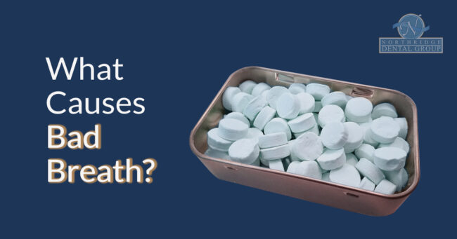 Arami_Ariz-Blog-November-23